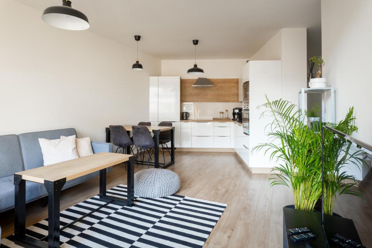 Quiet & Cozy Apartment Old Town - Free Underground Parking Košice Εξωτερικό φωτογραφία